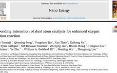 Applications Of DFT Calculations In Dual-Atom Catalysts