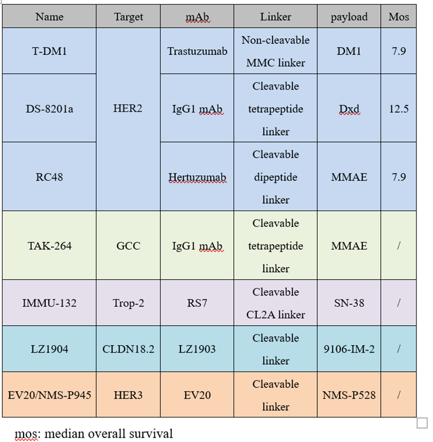 Research Progress of ADC Drugs for Advanced Gastric Cancer Treatment