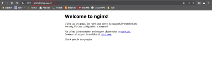 No Public IP Needed! Access Local Sites Anytime with Raspberry Pi and Nginx