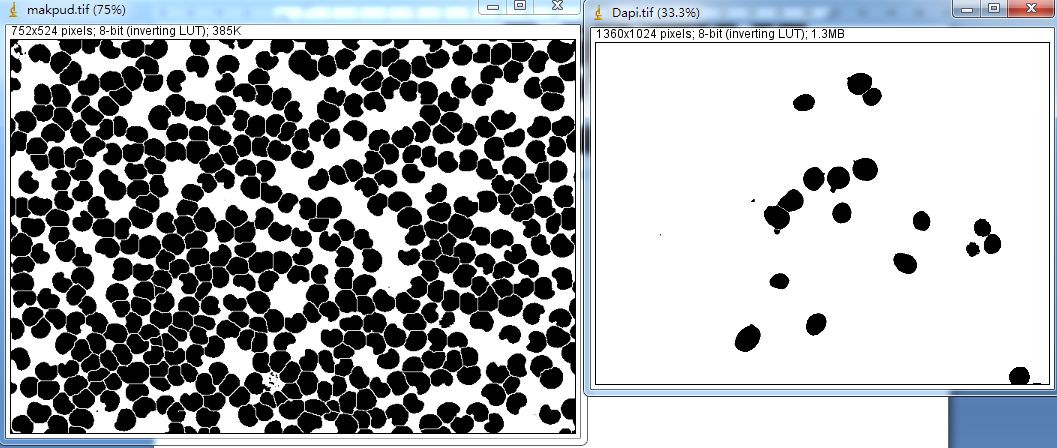 Unlocking Various Technical Skills in ImageJ