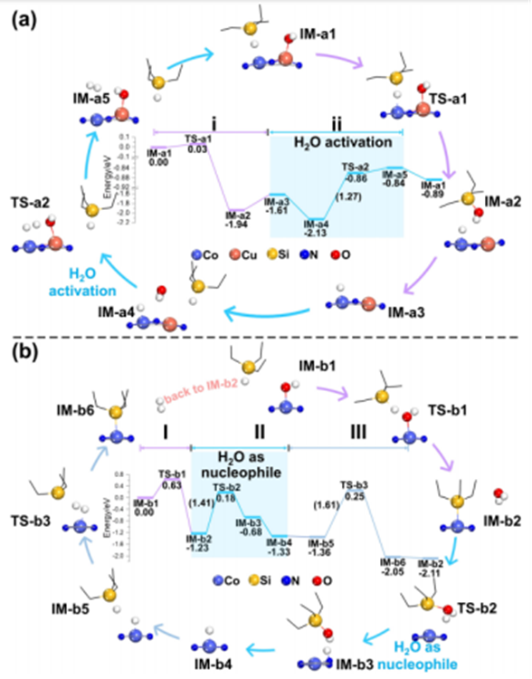 Applications Of DFT Calculations In Dual-Atom Catalysts