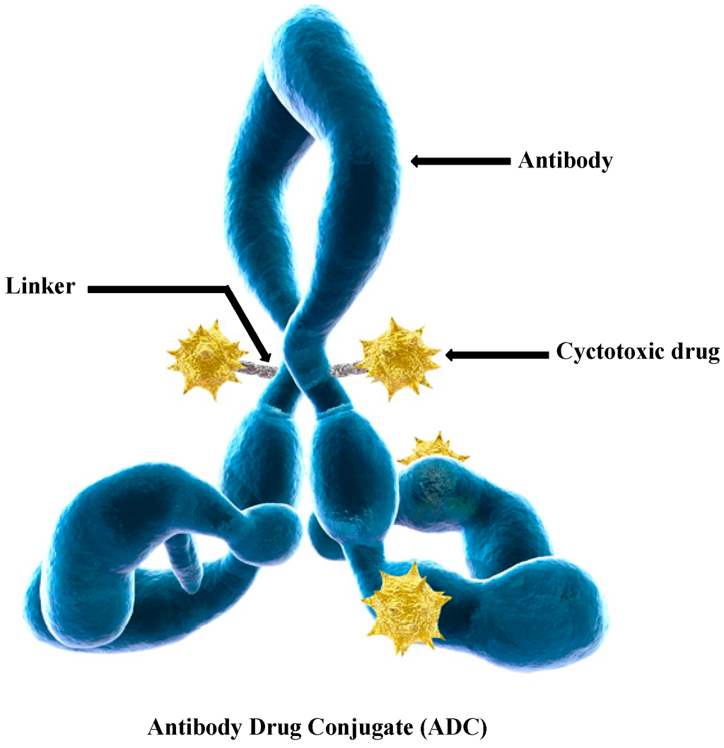 Challenges and New Technologies in ADC Drugs