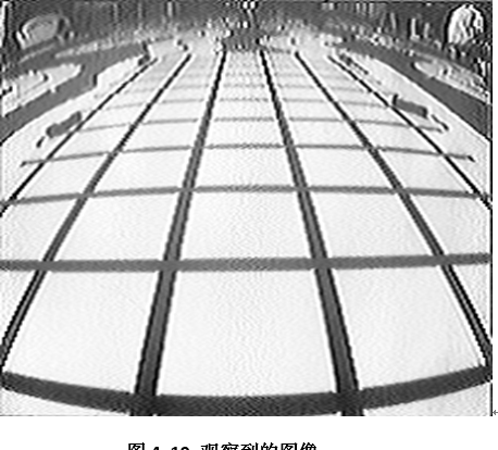 Technical Report of Intelligent Vision Group at University of Science and Technology Beijing