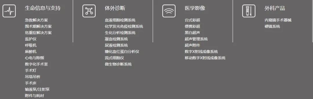 Comprehensive Breakdown of Business Lines for 31 Publicly Listed Companies