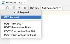 Detailed Guide on GoLand HTTP Client
