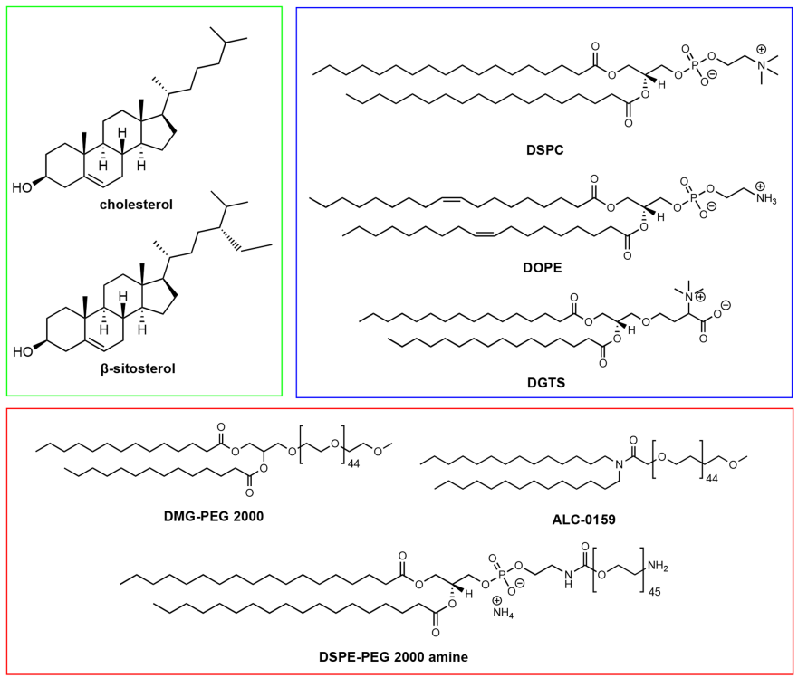 In-Depth Analysis of How Lipid Nanoparticles (LNP) Deliver RNA Drugs