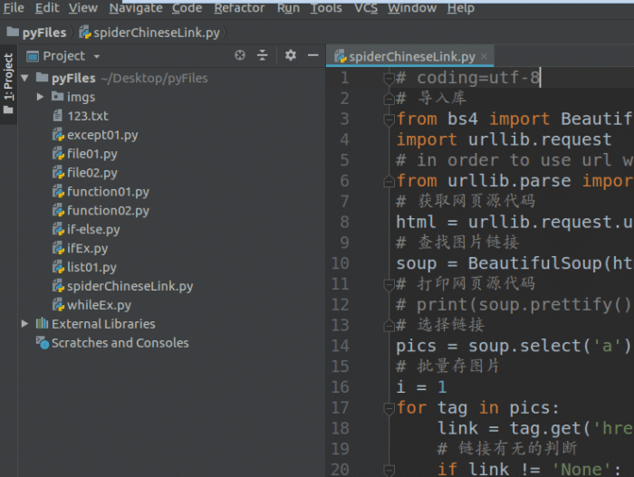 Essential Python Basics: Your Guide to Getting Started