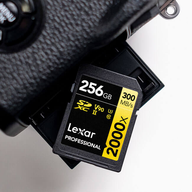 Choosing The Right SD Card Speed Specifications For School Season