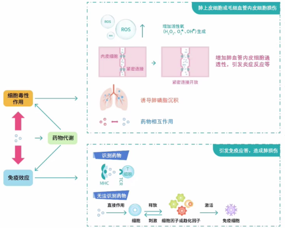 Current Status, Challenges, and Future of ADC Drug Development