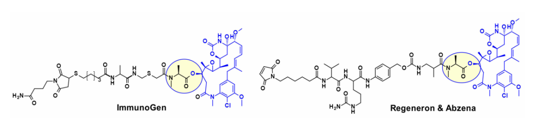 Overview of Antibody-Drug Conjugates (ADCs)