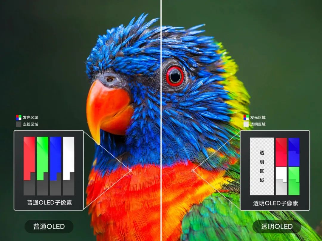 Understanding OLED Transparent Display Technology