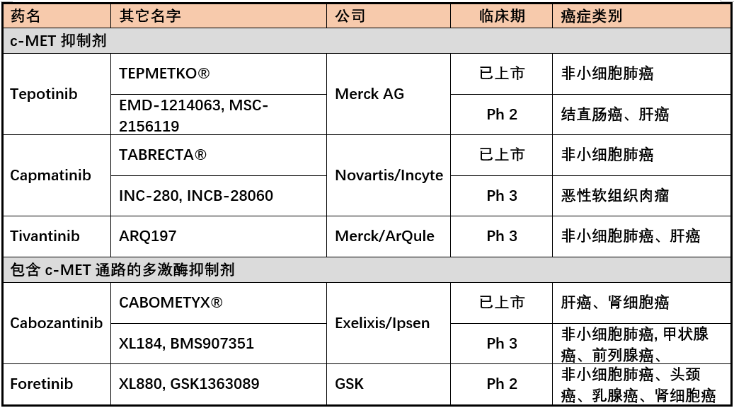 The Future of c-MET: Dual Antibodies, ADCs, or New Technologies?