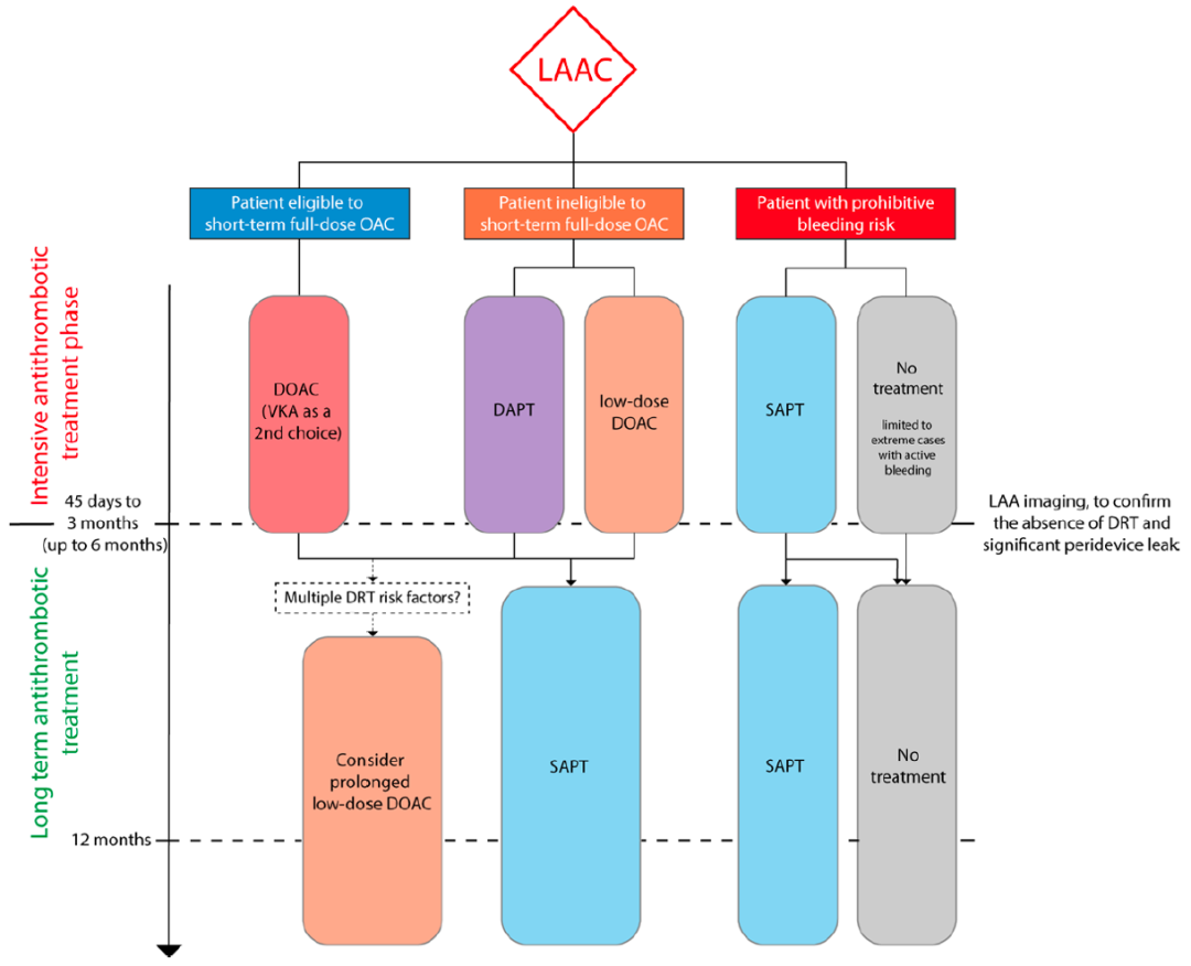 Antithrombotic Treatment Strategies After Left Atrial Appendage Closure: Current Evidence and Future Perspectives