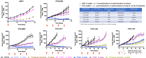 The Next Step for Bispecific Antibodies: Bispecific ADC?