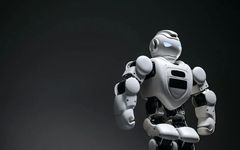 Understanding Popular New Engineering Disciplines