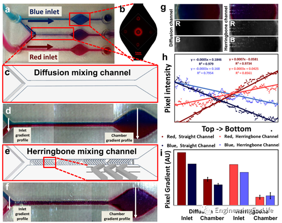 Applications of Projection Photopolymerization in 3D Bioprinting: Microneedles, Microspheres, and Microfluidic Chips