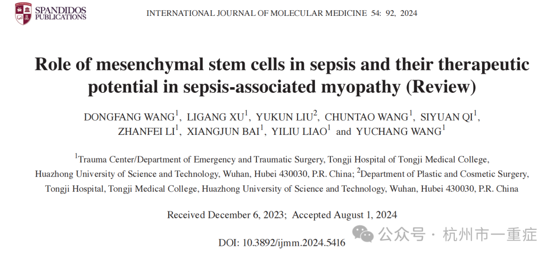 The Role of Mesenchymal Stem Cells in Sepsis and Their Therapeutic Potential in Sepsis-Related Myopathy