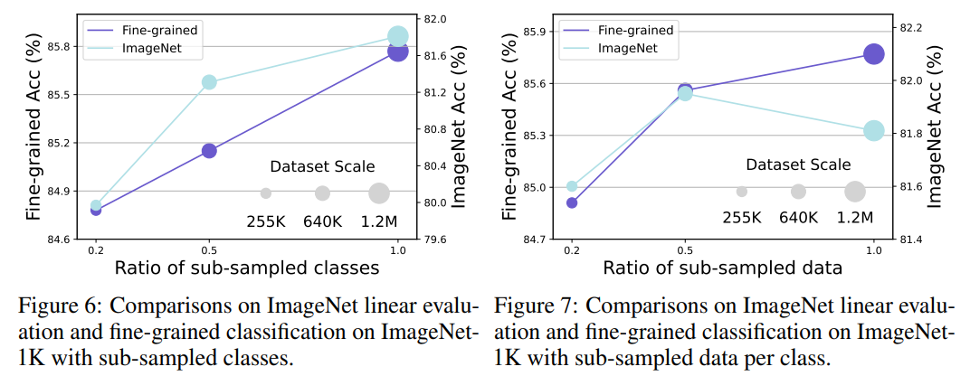 Training Vision Foundation Models on ImageNet-1K