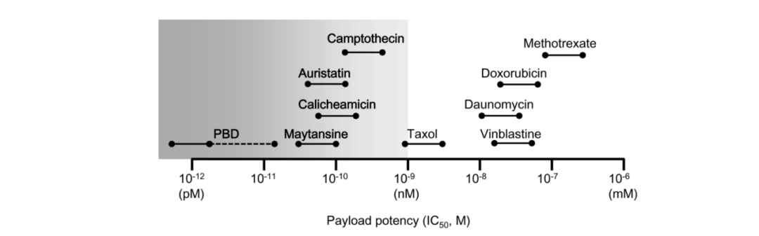 Choosing ADC Toxins: IC50, Mechanisms, and Clinical Insights