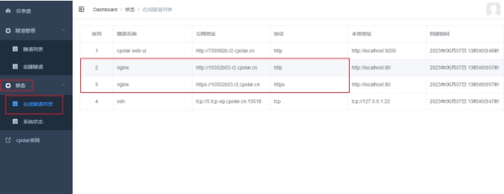 No Public IP Needed! Access Local Sites Anytime with Raspberry Pi and Nginx