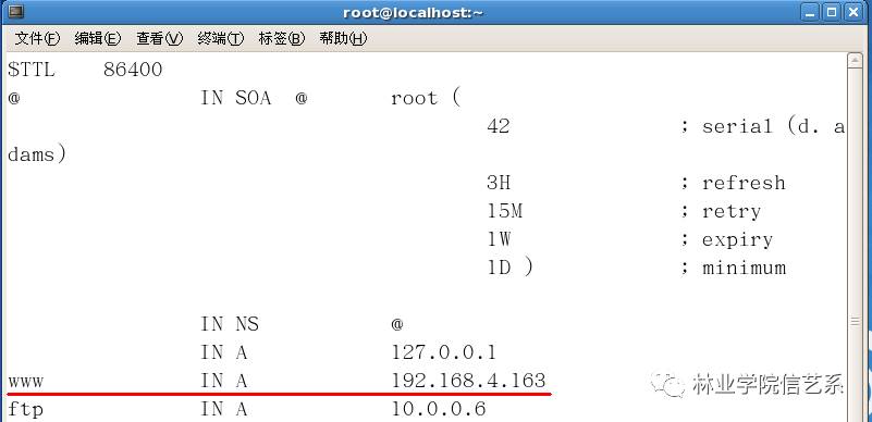 Accessing Domain Names via HTTP