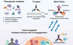 Multimodal Targeting Chimeras Enable Integrated Immunotherapy