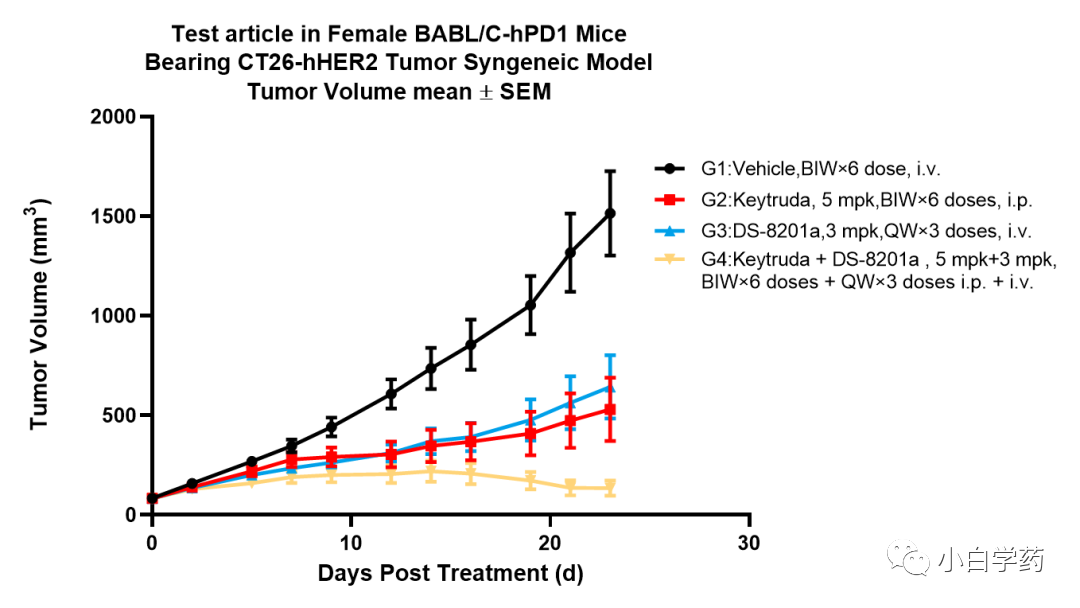 Non-Clinical Research of ADC Drugs