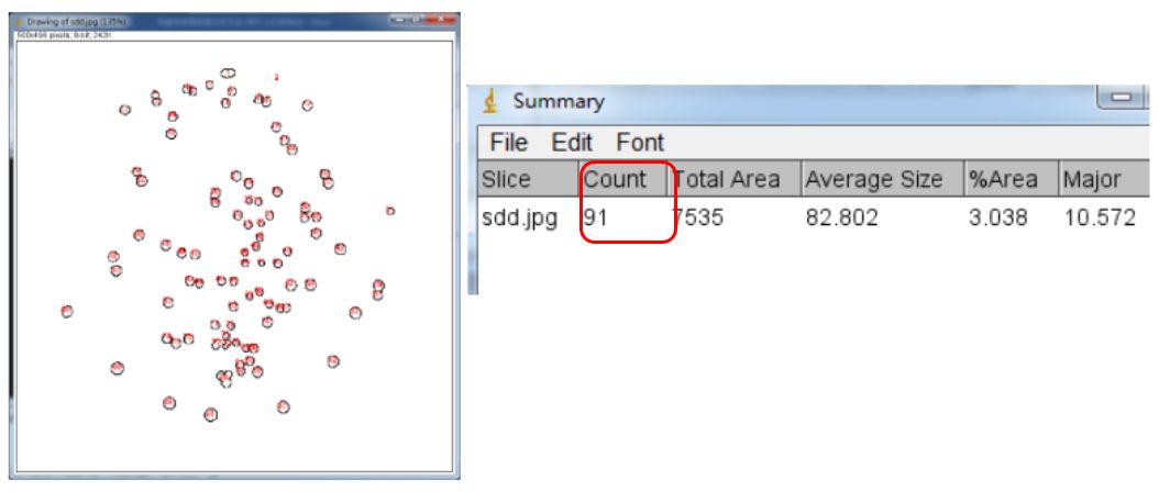 Unlocking Various Technical Skills in ImageJ