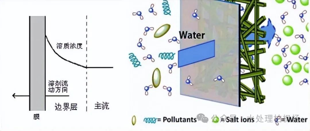 Fundamentals of Reverse Osmosis (Illustrated)