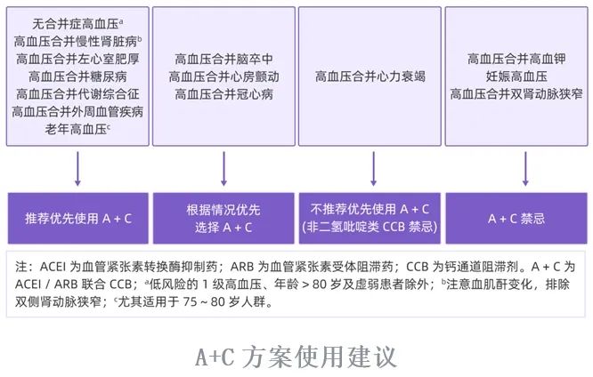 The Golden Partner of Antihypertensive Drugs: A+C Plan