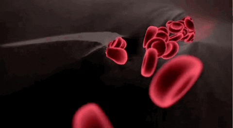 Vitamin C: The Key to Preventing Arterial Blockage