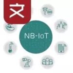 NB-IoT Large-Scale Deployment Exposes Hard Issues: Radio Environment Security Needs Resolution