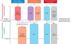 Antithrombotic Treatment Strategies After Left Atrial Appendage Closure: Current Evidence and Future Perspectives