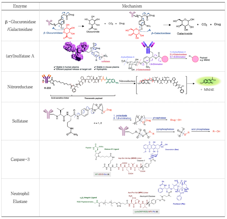 Classification, Cases, and Mechanism of Cleavable Linkers in ADC