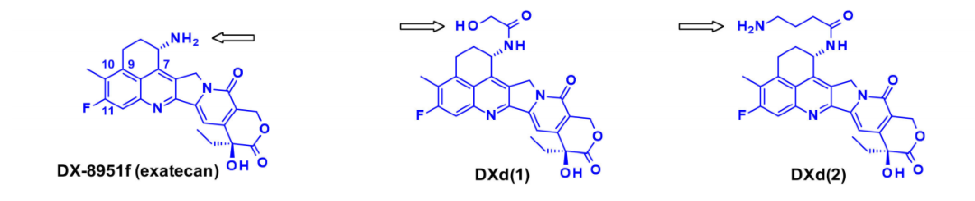 Overview of Antibody-Drug Conjugates (ADCs)