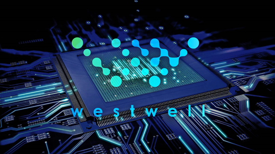 Latest Overview of Global Autonomous Driving AI Chips