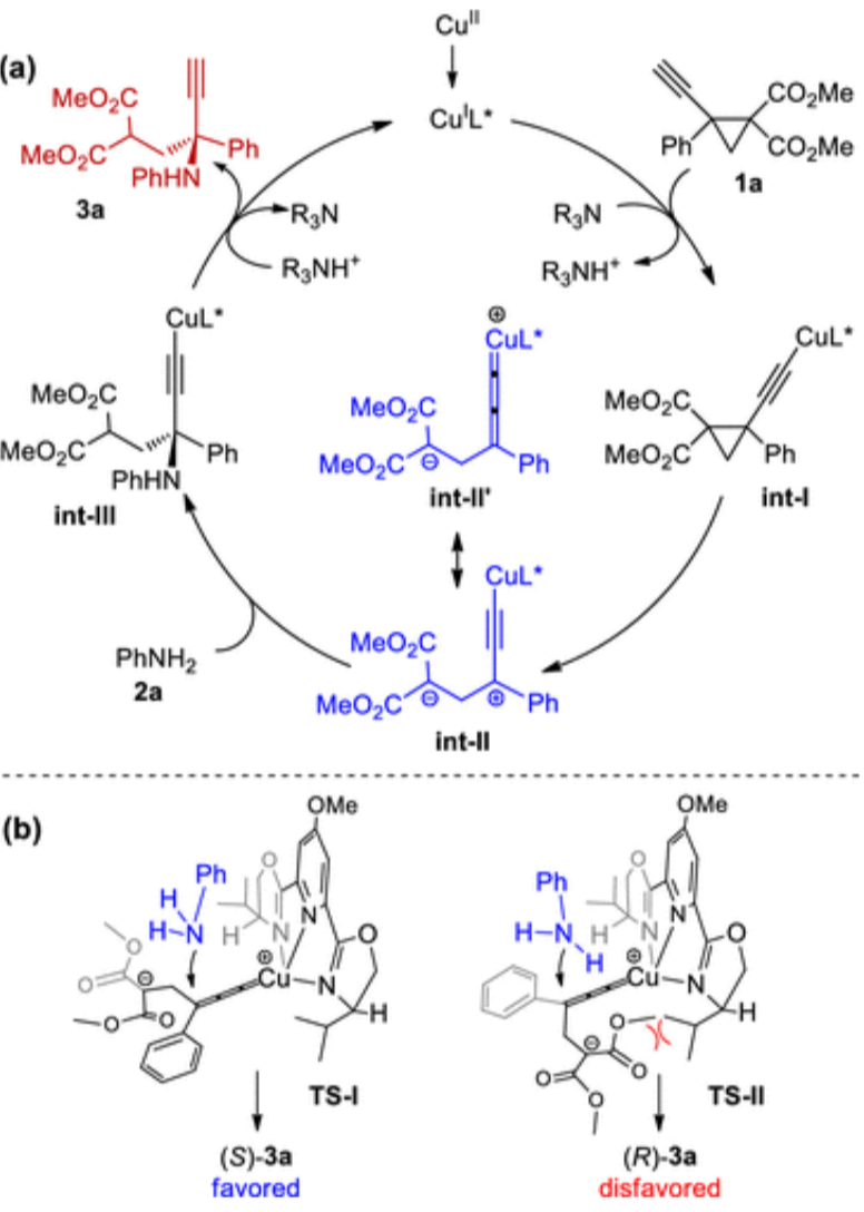 Cu-Catalyzed Asymmetric Nucleophilic Opening of Tetrasubstituted DAC