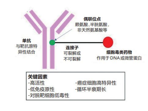 Biological Analysis of ADC Drugs Using LC-MS/MS