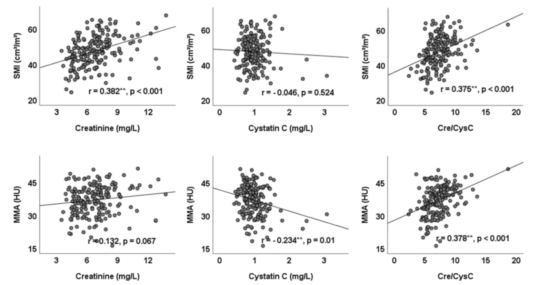 Why Cystatin C Is Highly Regarded? Tips You Should Know