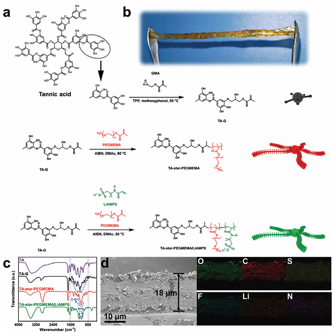 Star-Structured Polymer Electrolyte for Low-Temperature Lithium Batteries