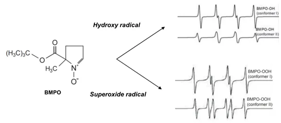 Principles and Applications of Electron Paramagnetic Resonance (EPR) Testing