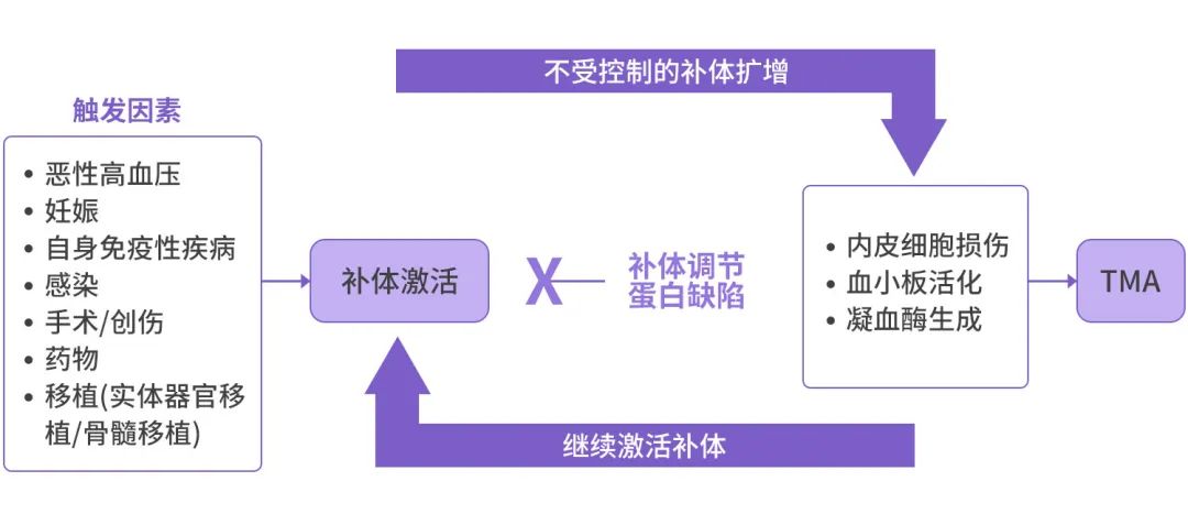 Complement and Disease: Misdiagnosis Strategies for Atypical Hemolytic Uremic Syndrome