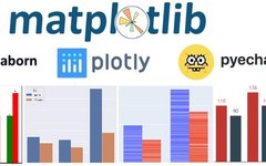 An In-Depth Analysis of Four Common Python Plotting Libraries