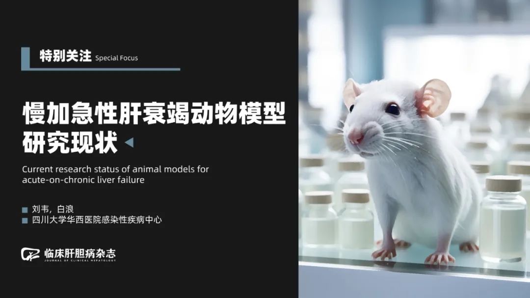 Current Status of ACLF Animal Model Research