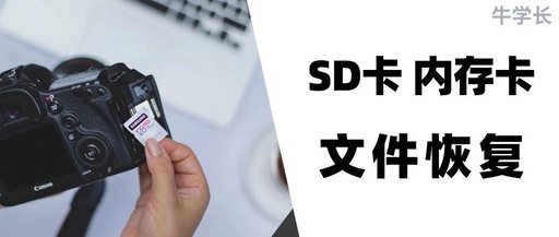 Quickly Recover Data from Damaged or Formatted SD Cards