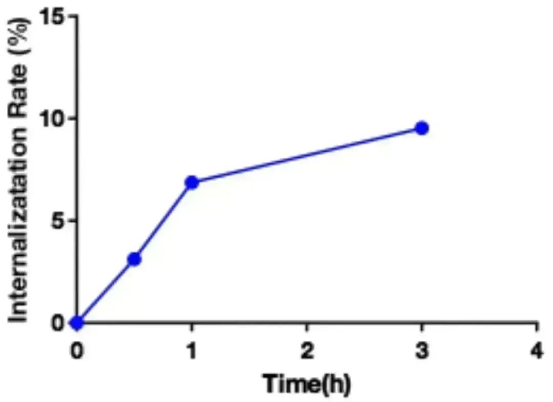 Innovative Delivery: Comprehensive Analysis of 'Magic Bullet' ADC Drug Screening
