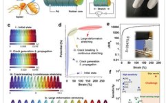 5G NB-IoT System Integrated with High-Performance Fiber Sensor