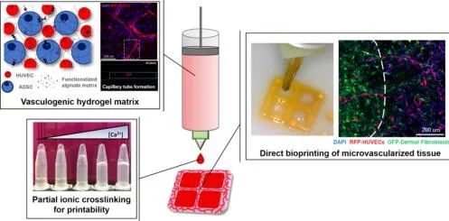 Bioprinting of Vascularized Tissues: A Comprehensive Review