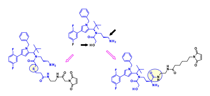 Overview of Antibody-Drug Conjugates (ADCs)