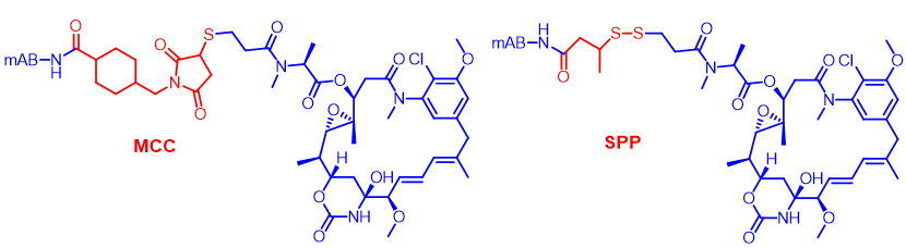 Technical Insights into 15 ADC Drugs and Future Innovations